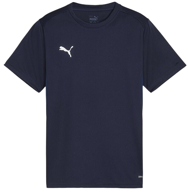Puma teamGOAL T-Shirt Rövid ujjú póló